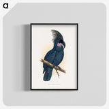1-8_Parrots-in-Captivity_blk-crop