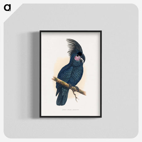 1-8_Parrots-in-Captivity_blk-crop