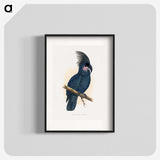 1-8_Parrots-in-Captivity_blk