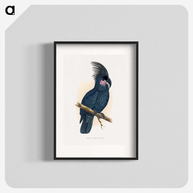 1-8_Parrots-in-Captivity_blk