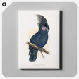 1-8_Parrots-in-Captivity_canvas