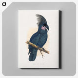 1-8_Parrots-in-Captivity_canvas