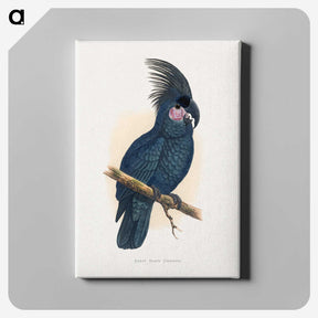 1-8_Parrots-in-Captivity_canvas