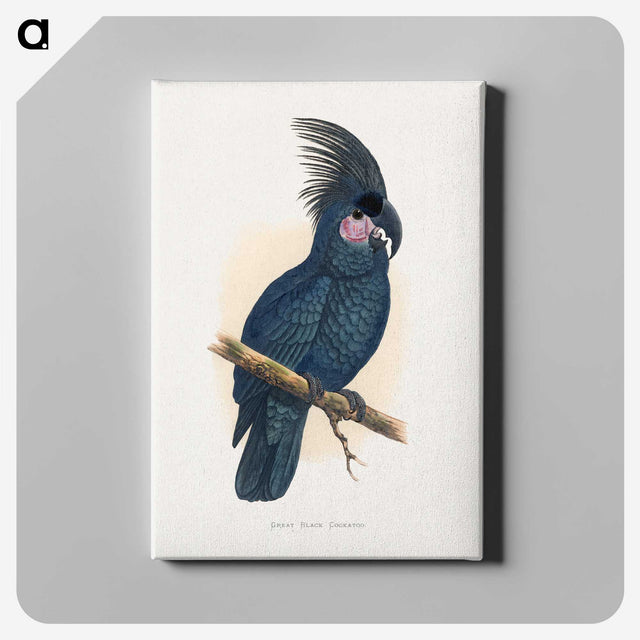 1-8_Parrots-in-Captivity_canvas