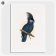 1-8_Parrots-in-Captivity_picture