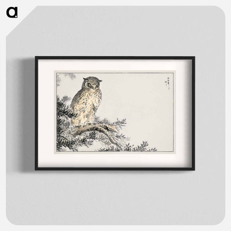 アートポスター-Japanese Scops Owl and Fir
 - 鳥類図鑑 Poster.