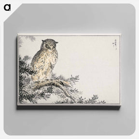アートパネル-Japanese Scops Owl and Fir
 - 鳥類図鑑 Canvas.