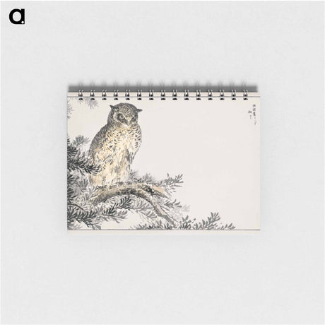 アートメモ帳-Japanese Scops Owl and Fir
 - 鳥類図鑑 Memo.