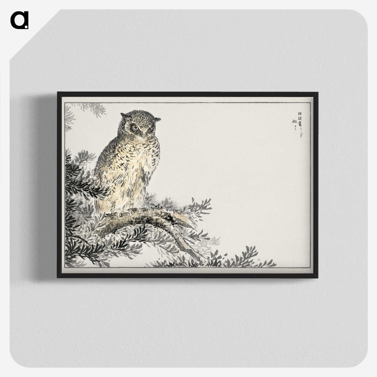1-8_Pictorial-Monograph-of-Birds_blk-crop