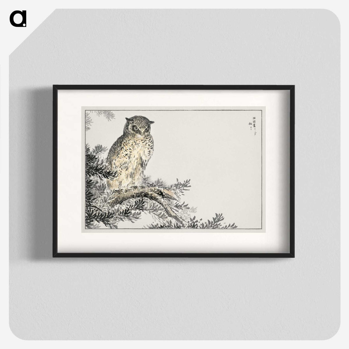 1-8_Pictorial-Monograph-of-Birds_blk