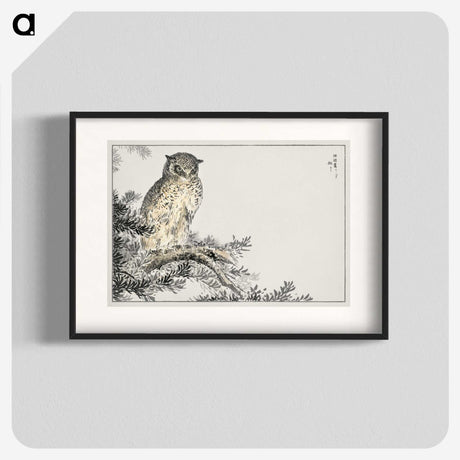 1-8_Pictorial-Monograph-of-Birds_blk