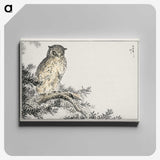 1-8_Pictorial-Monograph-of-Birds_canvas