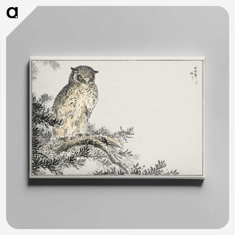 1-8_Pictorial-Monograph-of-Birds_canvas