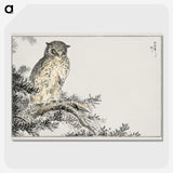 1-8_Pictorial-Monograph-of-Birds_picture-crop