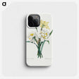 1-8_Pierre-Joseph-Redoute_phone