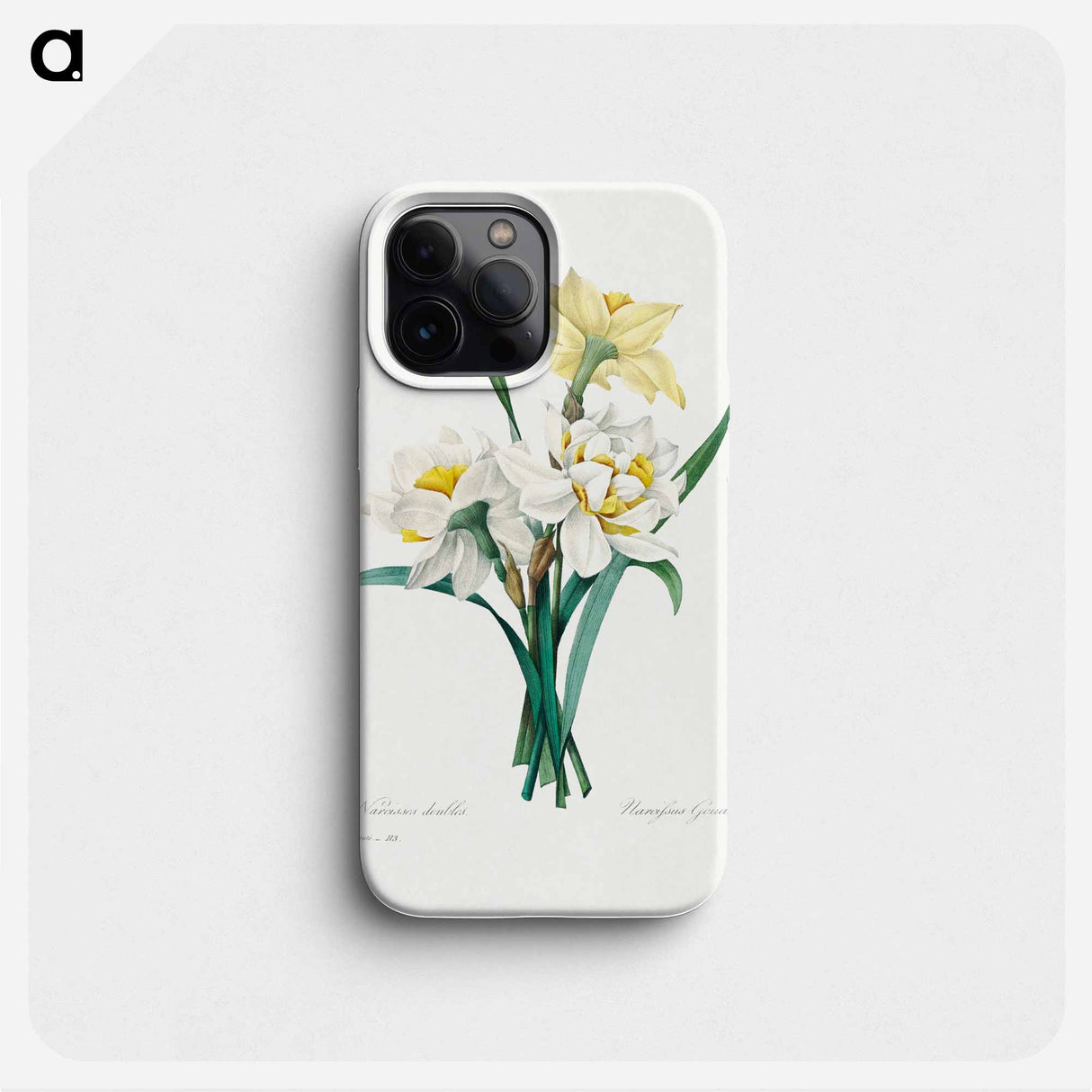 Double Daffodil - ピエール ジョゼフ ルドゥーテ Phone Case.