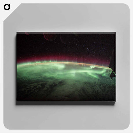 アートパネル-Terrestrial Aurora from the International Space Station
 - 地球 Canvas.