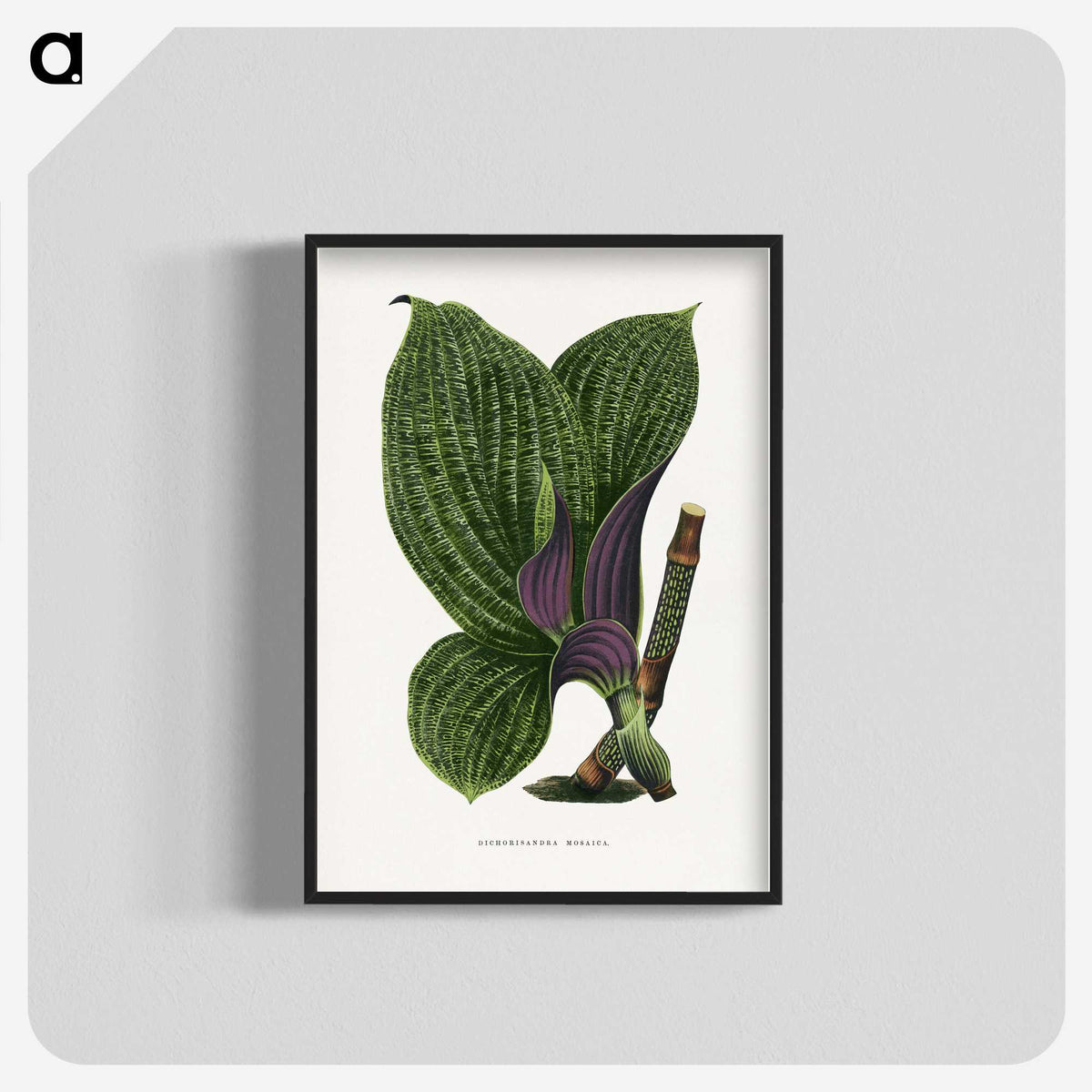 1-8_Plants-with-Colored-Foliage_blk-crop
