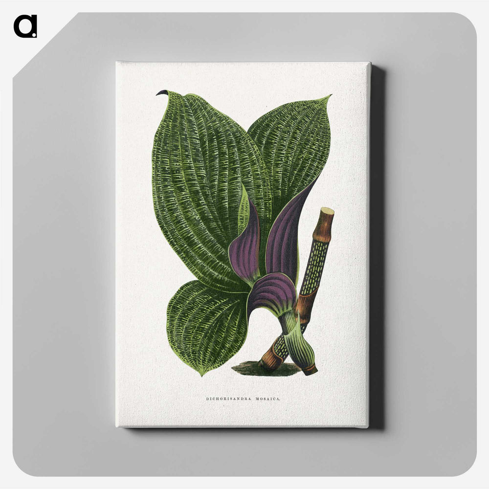 1-8_Plants-with-Colored-Foliage_canvas