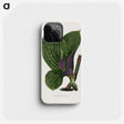 1-8_Plants-with-Colored-Foliage_phone