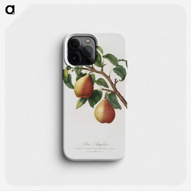 1-8_Pomona-Italiana_phone