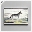 1-8_Robert-Jacob-Gordon_canvas