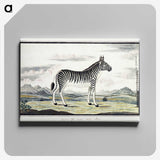 1-8_Robert-Jacob-Gordon_canvas