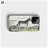 1-8_Robert-Jacob-Gordon_phone