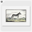 1-8_Robert-Jacob-Gordon_picture