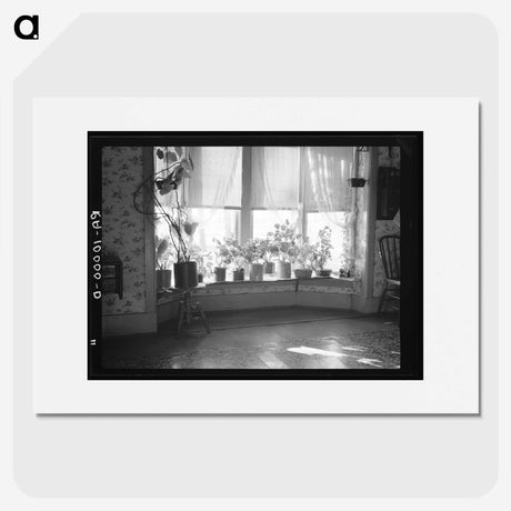 1-8_Russell-Lee_picture