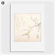 1-8_Ryuryukyo-Shinsai_picture