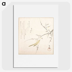 1-8_Ryuryukyo-Shinsai_picture