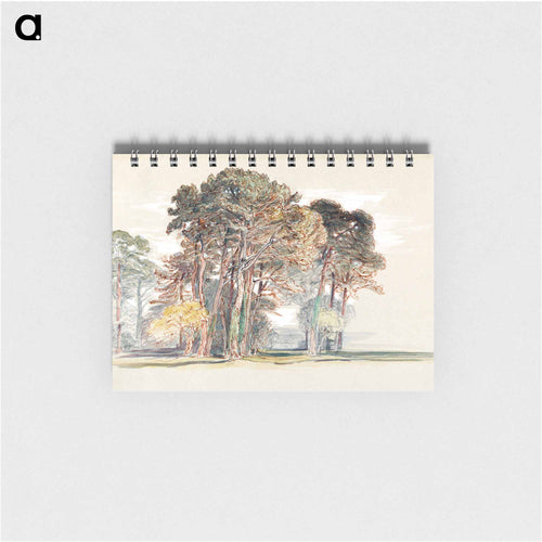 The Pine Trees of El Monte, California - サミュエル コールマン Memo.