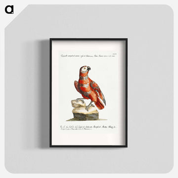 Parrot
 - サヴェリオ マネッティ Poster.