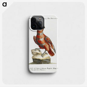 1-8_Saverio-Manetti_phone
