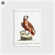 1-8_Saverio-Manetti_postcard
