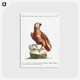 1-8_Saverio-Manetti_postcard