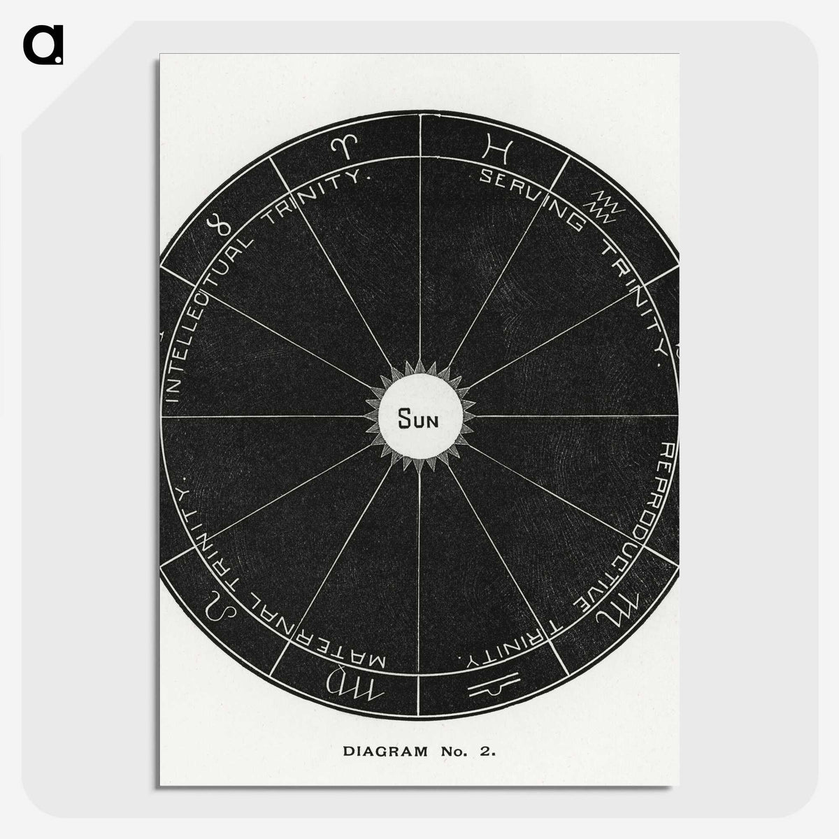 1-8_Solar-Biology_picture-crop
