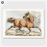 1-8_Sporting-Sketches_picture-crop
