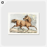 1-8_Sporting-Sketches_postcard
