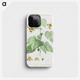 1-8_Stirpes-Novae_phone