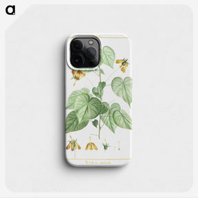 1-8_Stirpes-Novae_phone