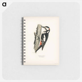 アートメモ帳-Great Spotted Woodpecker
 - スヴェンスカ フォグラル Memo.
