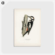 1-8_Svenska-Faglar_postcard