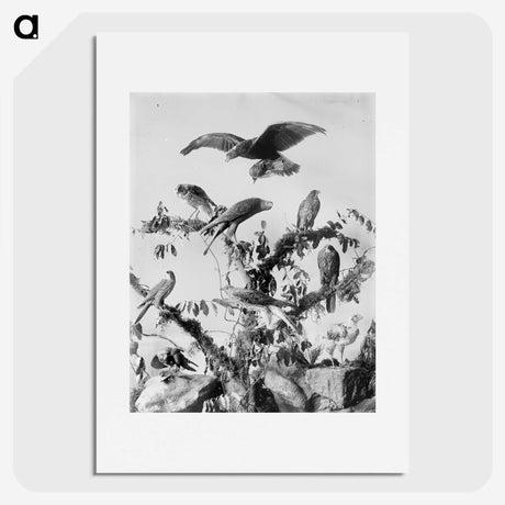 1-8_The-Burton-Brothers_picture