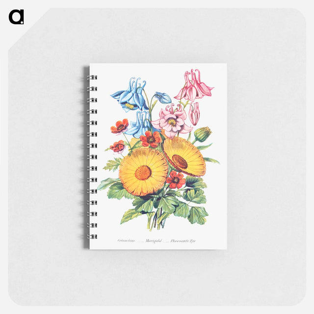 アートメモ帳-Columbine, Marigold and Pheasant's Eye from The Language of Flowers, or, Floral Emblems of Thoughts, Feelings, and Sentiments
 - 花言葉 Memo.