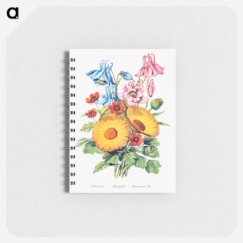 Columbine, Marigold and Pheasant's Eye from The Language of Flowers, or, Floral Emblems of Thoughts, Feelings, and Sentiments
 - Flower Language Memo.