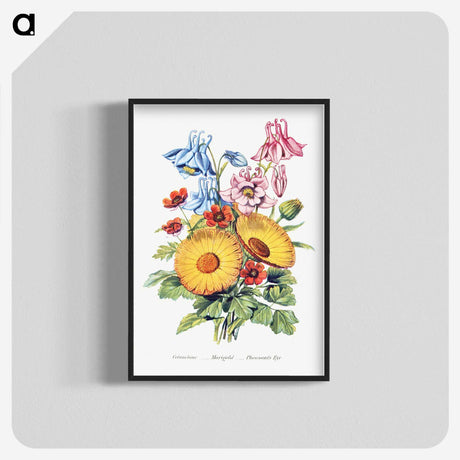 1-8_The-Language-of-Flowers_blk-crop