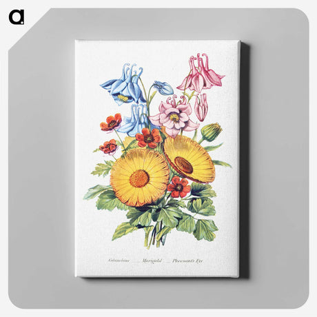 1-8_The-Language-of-Flowers_canvas