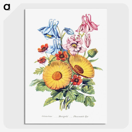 1-8_The-Language-of-Flowers_picture-crop